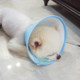 3 PCS Anti-licking Protection Ring Headgear Cat and Dog Grooming Cover Anti-bite Ring Pet Supplies, Specification:Number 5(Summer Fun)