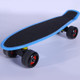 JC-007 22 inch Frosted Single-turn Four-wheeled Fish-shaped Skateboard Suitable for Children(Blue)