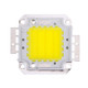 30W 2600LM High Power LED Integrated Light Lamp + 21-36V LED Driver(White Light)