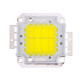 30W 2600LM High Power LED Integrated Light Lamp + 21-36V LED Driver(White Light)