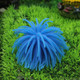 3 PCS Aquarium Articles Decoration TPR Simulation Sea Urchin Ball Coral, Size: S, Diameter: 7cm(Blue)