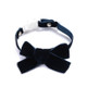 5 PCS Velvet Bowknot Adjustable Pet Collar Cat Dog Rabbit Bow Tie Accessories, Size:S 17-30cm, Style:Bowknot(Blue)
