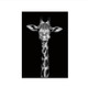 Simple Black and White Animal Decoration Painting Study Living Room Sofa Background Wall Painting Without Frame, Size:30X40cm(Giraffe)