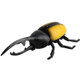 9996 Infrared Sensor Remote Control Simulated Beetle Creative Children Electric Tricky Toy Model (Yellow)