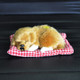 Simulation Will Call the Sleeping Dog Ornaments Toy Creative Doll Children Gift(Lemon Yellow)