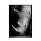 Simple Black and White Animal Decoration Painting Study Living Room Sofa Background Wall Painting Without Frame, Size:40X60cm(Rhinoceros)