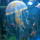 3 PCS Aquarium Articles Decoration Silicone Simulation Fluorescent Sucker Jellyfish, Size: 3.5*11cm(Orange)