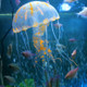 3 PCS Aquarium Articles Decoration Silicone Simulation Fluorescent Sucker Jellyfish, Size: 5*17cm(Orange)