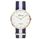 2 PCS Simple Ultra-thin Large Dial Two-pin Color Matching Nylon Canvas Belt Quartz Watch(Silver3)