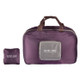PICTET FINO RH29 Polyester Waterproof Foldable Outdoor Handbag (Wine Red)