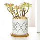 4 PCS Geometric Simple Straight Succulent Deramic Flower Pot(Cross Rhombus)