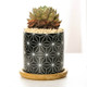 4 PCS Geometric Simple Straight Succulent Deramic Flower Pot(Black and Triangle)
