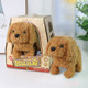 Cute Children Electric Sound Control Simulation Plush Pet Machine Toy(Teddy Dog)