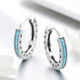 Simple Sparkle S925 Sterling Silver Earrings