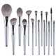 14 in 1  Makeup Brush Set Beauty Tool Brush for Beginners, Exterior color: 14 Makeup Brushes + Silver Tube