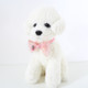 6 PCS Pet Handmade Adjustable Cat Dog Bow Tie Collar, Size:S 17-32cm, Style:Ball Bowknot