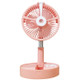 Humidifying and Moisturizing Spray Fan USB Charging Desktop Portable Folding Fan (Pink)