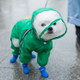 Pet Cartoon Pattern Waterproof All-inclusive Four-leg Raincoat, Size:L(Green Dinosaur)