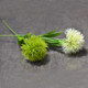 10 PCS Artificial Flowers Dandelion Plastic Flower Wedding Home Valentine Decoration(White)