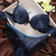 Lace Sexy Thin Underwear Vintage Solid Color Bra Set, Size:80B(Blue)