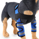 Pet Dog Leg Knee Guard Surgery Injury Protective Cover, Size: L(Anti-glory Model (Blue))