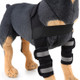 Pet Dog Leg Knee Guard Surgery Injury Protective Cover, Size: M(Anti-glory Model (Black) )