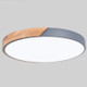 Wood Macaron LED Round Ceiling Lamp, White Light, Size:40cm(Grey)