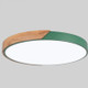 Wood Macaron LED Round Ceiling Lamp, White Light, Size:40cm(Green)