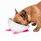 Pet Dog Ceramic Universal Non-slip Food Bowl Feeder(White Bowl + Red Mat)