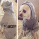 Autumn Winter Fleece Hooded Teddy Pet Dog Sweater Clothes, Size:M(Black)