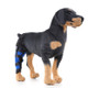 HJ19 Pet Surgery Rehabilitation Back Leg Protector Walking Aids, Size: M(Blue Right Back Leg)