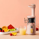 BP314 45W Squeeze Fruit Juicer Retro Small Juice Machine(Pink)