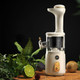 BP314 45W Squeeze Fruit Juicer Retro Small Juice Machine(White)