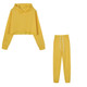 2 in 1 Autumn Winter Plus Velvet Thick Solid Color Cropped Hooded Sweater Set for Ladies (Color:Yellow Size:M)