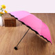 Travel Umbrella Compact Windproof Waterproof Umbrella with UV Protection - Rose