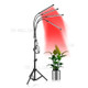 Growing Light with Tripod Stand Adjustable 4 Spectrum Mode with Timing 3/6/12H Plant Grow Lamps for Indoor Plants - AU Plug