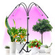 Growing Light with Tripod Stand Adjustable 4 Spectrum Mode with Timing 3/6/12H Plant Grow Lamps for Indoor Plants - AU Plug