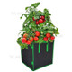 Garden Grow Bag Square Planter Box Planting Bed Grow Pot with Handles Breathable Flowers Vegetables Plant Container Felt Planter Bag - 3 Gallon