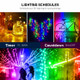 LEMONDA SMART BSL2 10m 66-LED Copper Wire USB Bluetooth Smart Waterproof Decorative Colorful LED String Light App Remote Control Music Sync Fairy Light