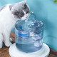 2L Automatic Pet Water Fountain with Faucet Cat Water Dispenser Transparent Filter Drinker Dog Sensor Drinking Feeder (Smart Sensor Version) - US Plug
