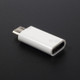 Type-C Female to Micro USB Male Converter Adapter - White