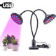 20W Dual Lotus Heads Adjustable Spectrum Timing LED Lamp for Plant Growth Lighting(Black)