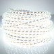 Casing Waterproof LED Light Strip, Length: 10m, Waterproof IP65 SMD 5730 LED Light with Power Plug, 120 LED/m, AC 220V(White Light)