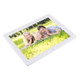 12.0 inch Digital Picture Frame with Remote Control Support SD / MMC / MS Card and USB, White (1200)(White)