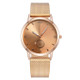 W0317 2 PCS Plastic Calibration Small Circle Men Leisure Quartz Watch(Rose Gold)