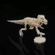 Creative DIY Excavation Archeological Dinosaur Toy Fossil Puzzle Children Handmade Dinosaur Skeleton Model(Tyrannosaurus)
