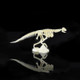 Creative DIY Excavation Archeological Dinosaur Toy Fossil Puzzle Children Handmade Dinosaur Skeleton Model(Carnivorous Bovine)