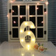 Digit 6 Shape Decoration Light, Dry Battery Powered Warm White Standing Hanging Holiday Light