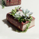 Retro Literature Book Pots Multi-meat Plant Bonsai Micro-landscape Vintage Book Flower Pot Planter for Flower Succulent Cacti Herbs Plant Bed Box Case FlowerPot, Size: 14*10.5*5cm