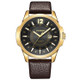 CURREN 8123 Sports Quartz Watch for Men(gold case black face)